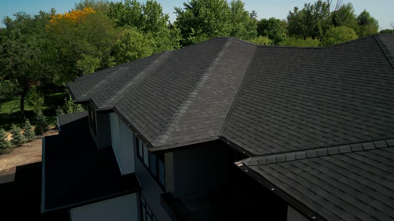 Professional Roofing Services in Sorgho, KY